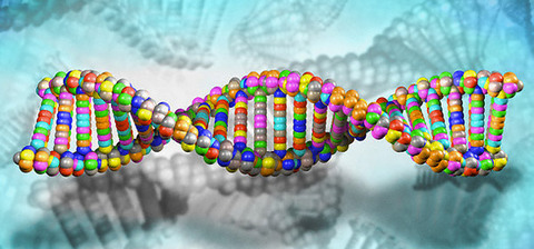 How Diseases Connected To Genes