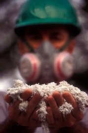 Risk Factors For Occupational Lung Diseases