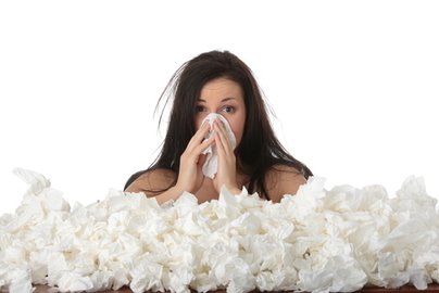 About Allergy Products That Clean the Air