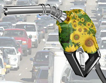 Advantages Of Alternative Transportation Fuel