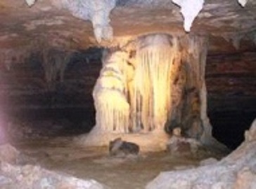Want A Unique Vacations ? Explore A Cave In Springfield!
