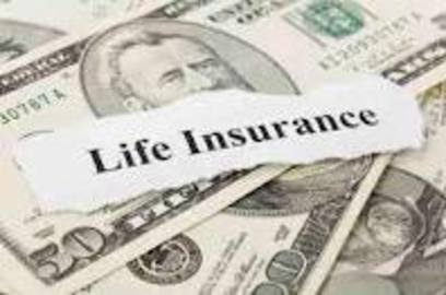 What You Should Know About Insurance Asp