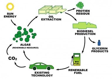 Advantages Of Alternative Fuel Transportation