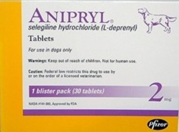 Side Effects Of Anipryl in Dogs