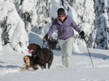 Winter Idaho Vacations - Skiing In And Around Southeastern Idaho