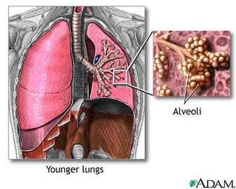 About Chronic Obstructive Pulmonary Diseases