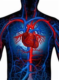 Diseases Circulatory Symptoms Help Diagnose