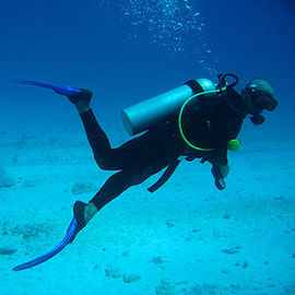 Scuba Diving Vacations And Trips