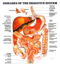 Digestive System Diseases Tract And Nervous Disorders