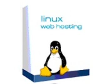 About Hosting Linux Web Servers