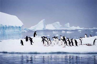 Adventure Travel - Polar Vacations Adventure At Antarctica