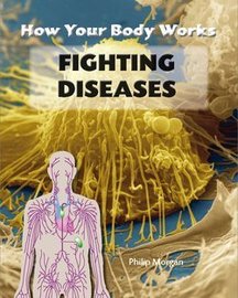 How To Go About Fighting Diseases