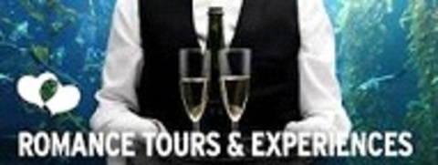 Romance Tours And Singles Vacations