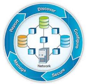 What You Need To Know About Software Management Network