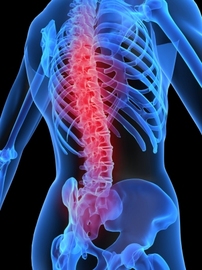 What Are Diseases Spinal?